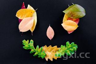 卤肥肠的做法大全，卤肥肠的做法