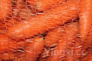 梅干菜扣肉做法大全,梅干菜扣肉家庭做法