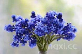 叉烧酱牛肉:酱香四溢,回味无穷