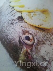 馒头各种花型图片,馒头各种花型