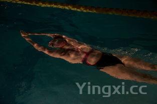 日常喝浓香白酒推荐，这些佳酿满足你的味蕾需求