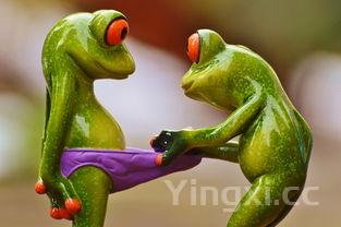 100元能买几只大闸蟹,阳澄湖螃蟹多少钱一只