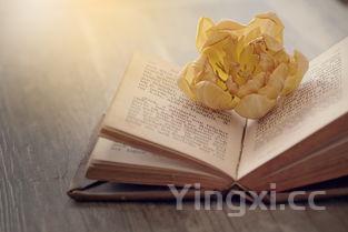 盐焗鸡腿:香脆可口,回味无穷