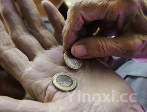 100元能买几只大闸蟹,阳澄湖螃蟹多少钱一只