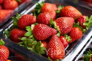 在家发黄豆芽小窍门,在家发黄豆芽小窍门视频