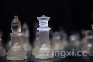 白蒲白酒是什么颜色?探寻那一抹独特酒液之色