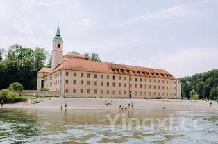 白酒酿造用什么菌类好，这些菌类助力打造醇厚酒香