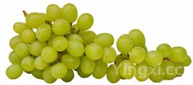 怎样煎荷包蛋（煎荷包蛋视频教学）