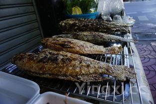 安康鱼是什么鱼，韩国安康鱼是什么鱼