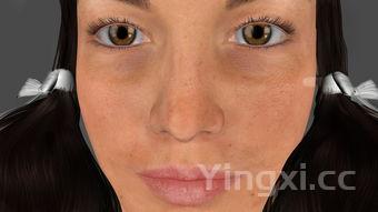 猪肉虾仁饺子馅的做法,猪肉虾仁饺子馅的做法大全