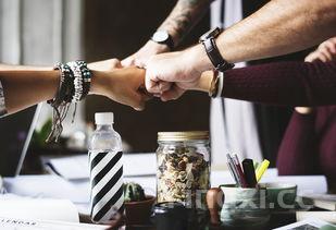 猪肉虾仁饺子馅的做法,猪肉虾仁饺子馅的做法大全