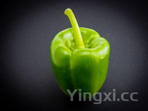 这菜被誉为血管“清道夫”、“天然养胃菜”,才两元一斤!