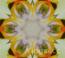 肉粽子的制作方法步骤,肉粽子的做法和配料视频教程窍门