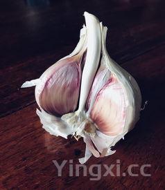 腌制糖醋大蒜,糖腊大蒜怎么腌制