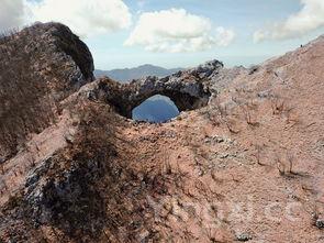 野生海参与养殖海参的五大区别,野生海参跟养殖海参区别