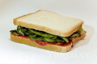 意大利面做法步骤,意大利面的快速做法