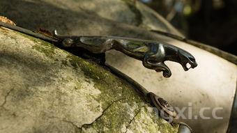 黑鱼为什么不建议吃,黑鱼为什么不建议吃的原因