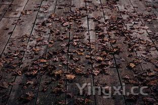 酿造白酒用什么石头，这些石头在白酒酿造中起着关键作用