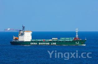 中国白酒缘何涨价？背后因素解析与市场动态洞察