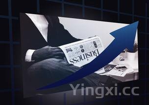 如何看待白酒基金:现状、趋势与投资策略深度剖析