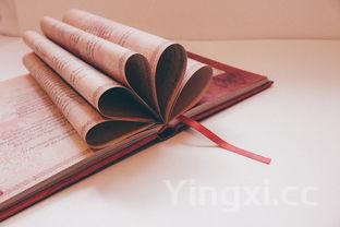 新手怎么学包粽子,学包粽子