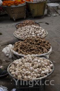 葱须子+生姜+红糖有什么用,大葱须子姜丝红糖煮水