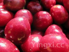 石榴，石榴石的功效与作用