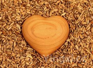 蒜黄和韭黄的区别功效，蒜黄和韭黄的区别